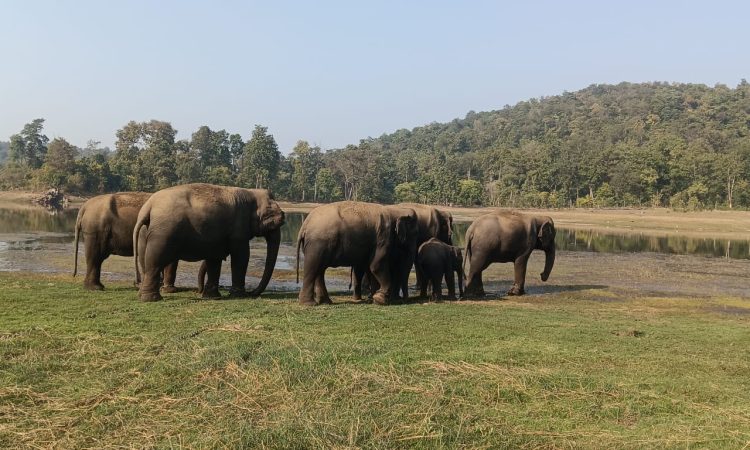 WhatsApp Image 2025-12-22 at 5.31.49 PM